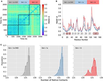 Dynamics Rationalize Proteolytic Susceptibility of the Major Birch Pollen Allergen Bet v 1